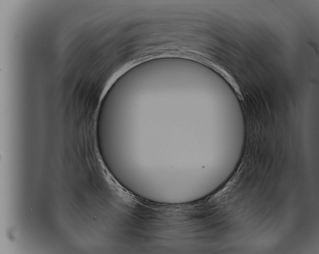 X0000094921530200711291011