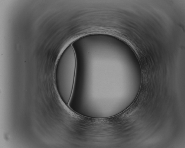 X0000094921531200711291011
