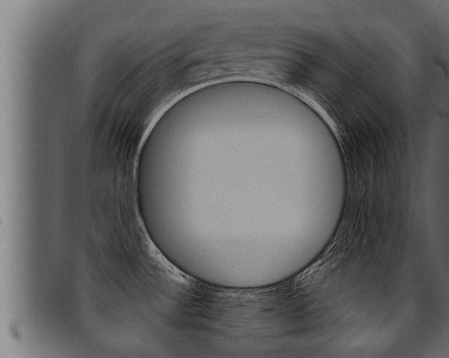 X0000094921532200711291011