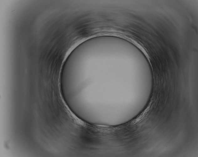 X0000094921533200711291011