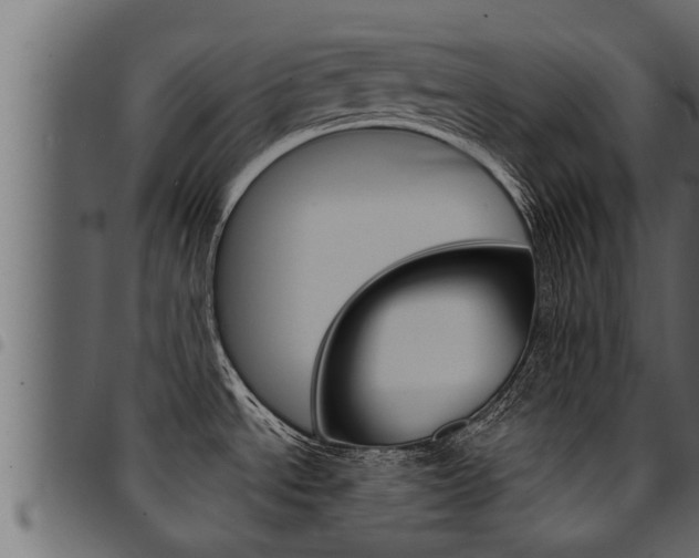 X0000094921534200711291011