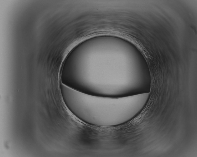 X0000094921535200711291011
