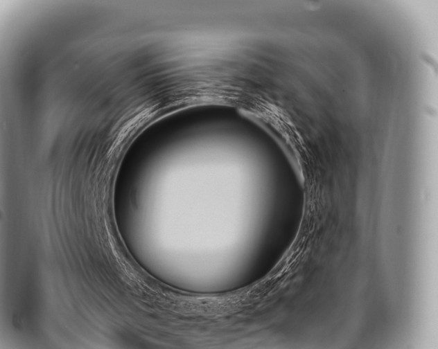 X0000094920001200711291323