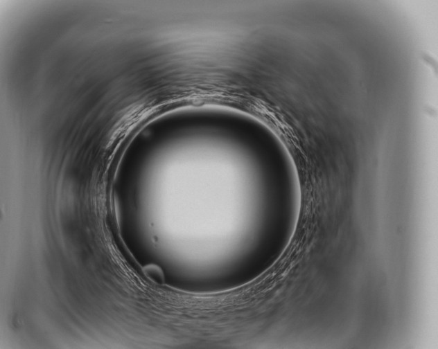 X0000094920002200711291323