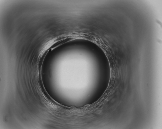 X0000094920005200711291323