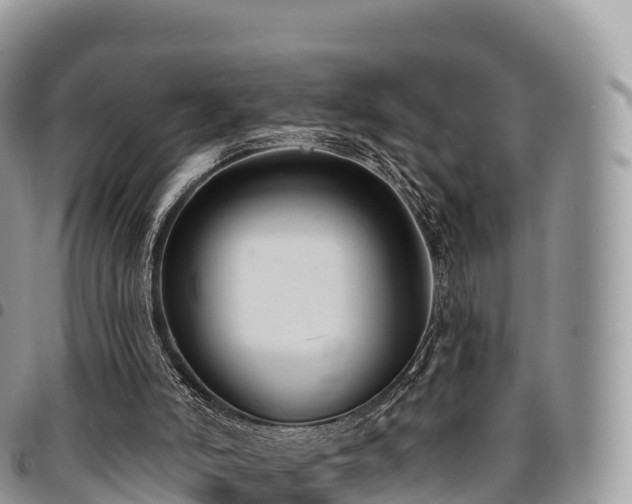 X0000094920006200711291323