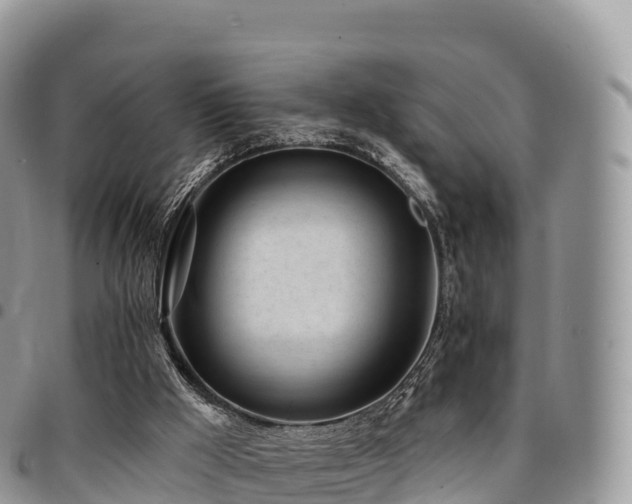 X0000094920009200711291323