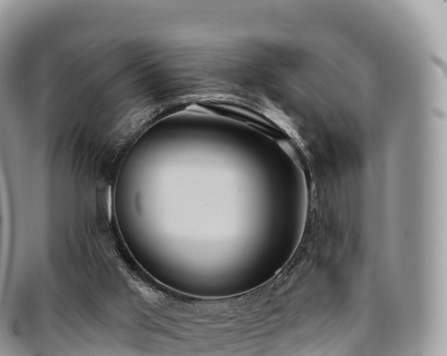 X0000094920013200711291323
