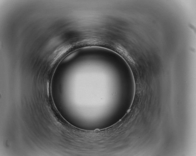X0000094920014200711291323