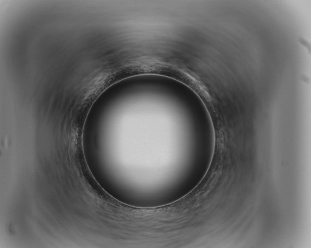 X0000094920018200711291323