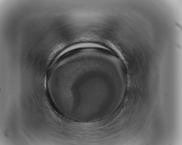X0000094920019200711291323