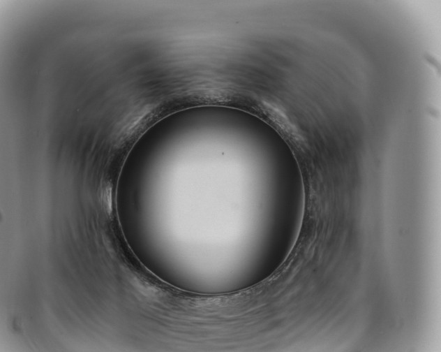 X0000094920021200711291323