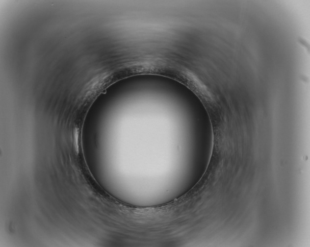 X0000094920022200711291323