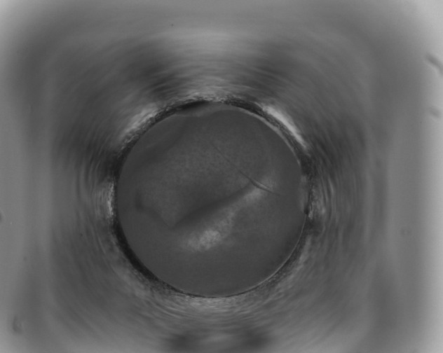 X0000094920023200711291323