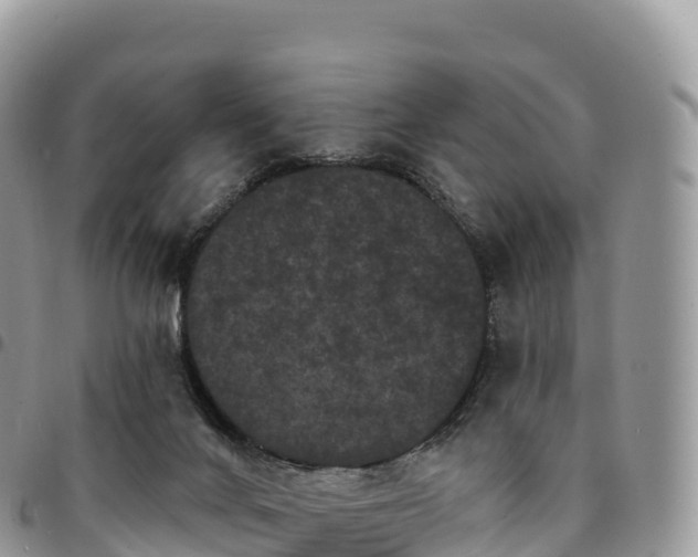X0000094920024200711291323