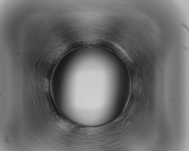 X0000094920025200711291323