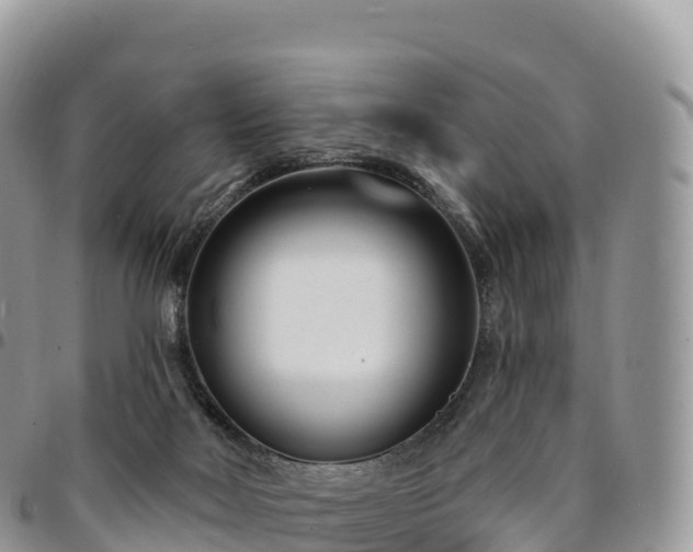X0000094920026200711291323