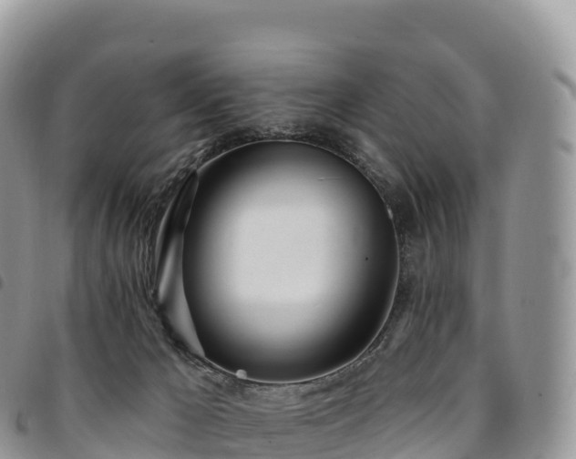 X0000094920029200711291323