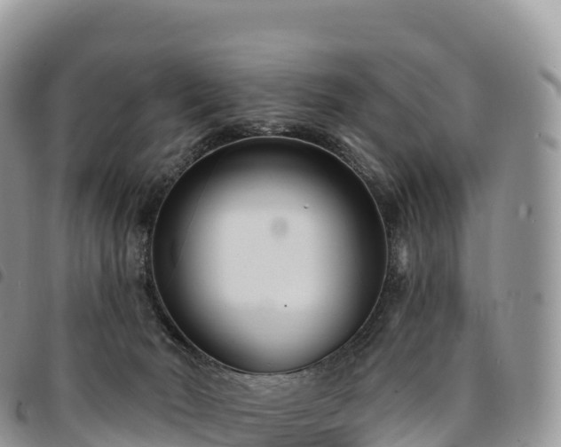 X0000094920030200711291323