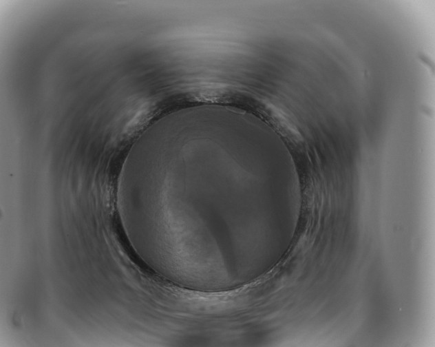X0000094920031200711291323