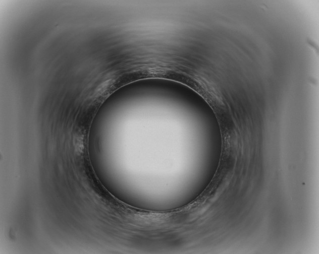 X0000094920032200711291322