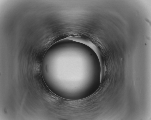 X0000094920033200711291322
