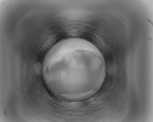 X0000094920036200711291322