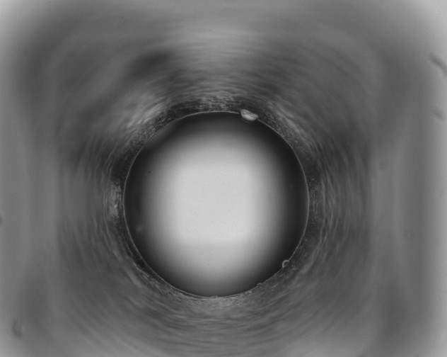 X0000094920038200711291322