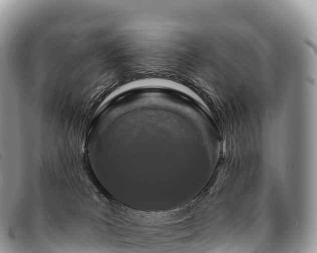 X0000094920039200711291322