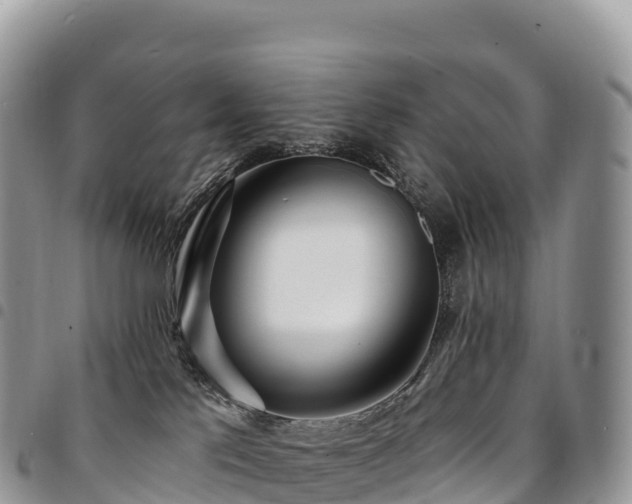 X0000094920041200711291322