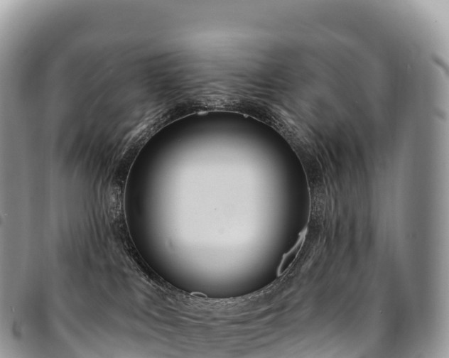 X0000094920043200711291322
