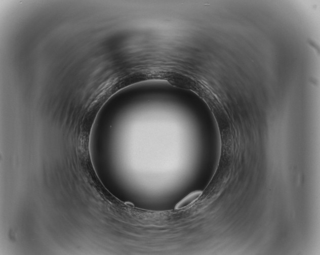 X0000094920044200711291322