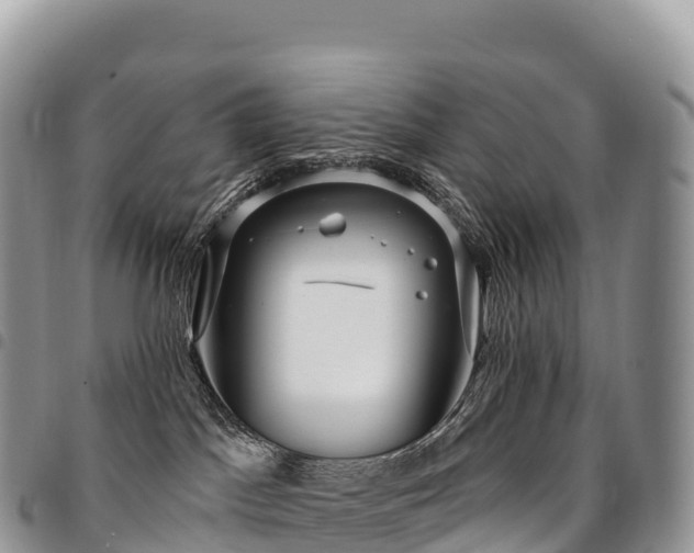 X0000094920045200711291322