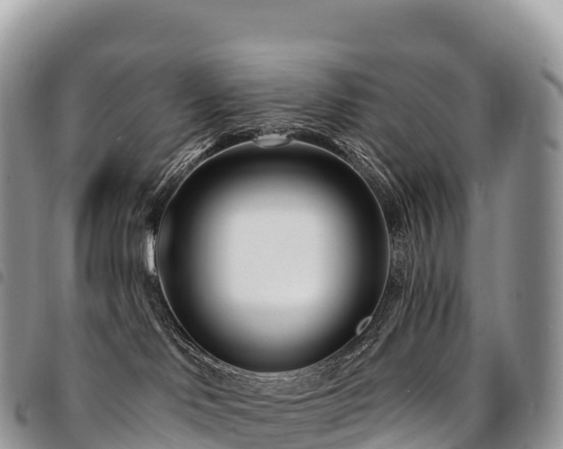 X0000094920046200711291322