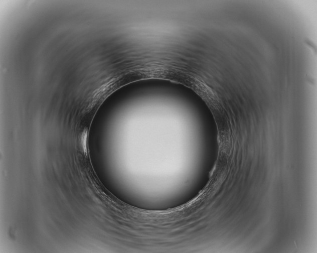 X0000094920047200711291322