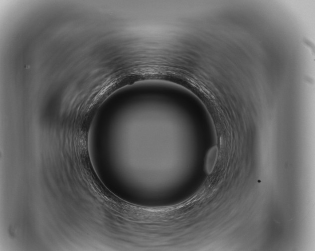 X0000094920048200711291322