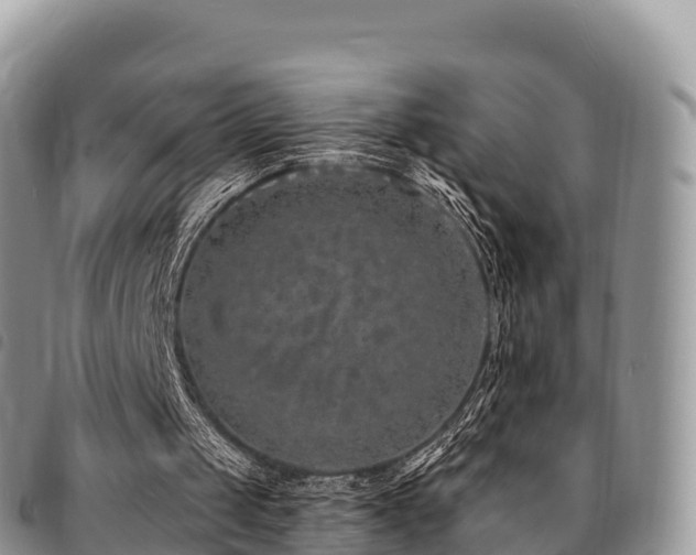 X0000094920049200711291321