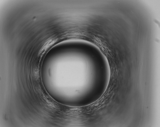 X0000094920050200711291321