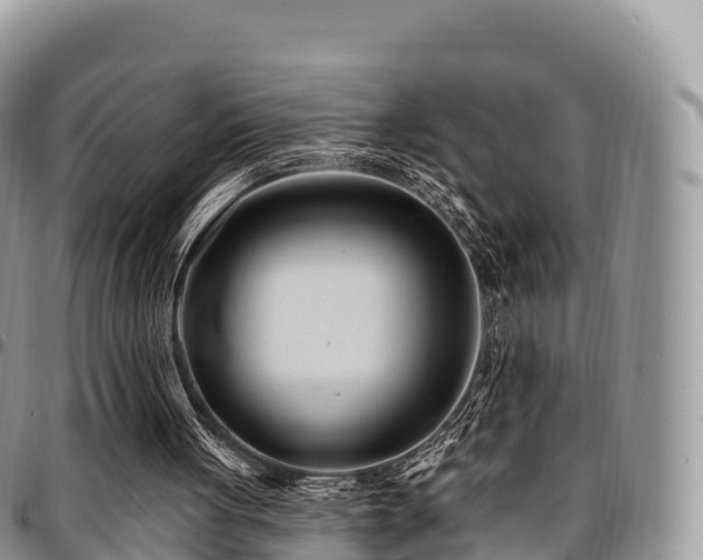 X0000094920051200711291321