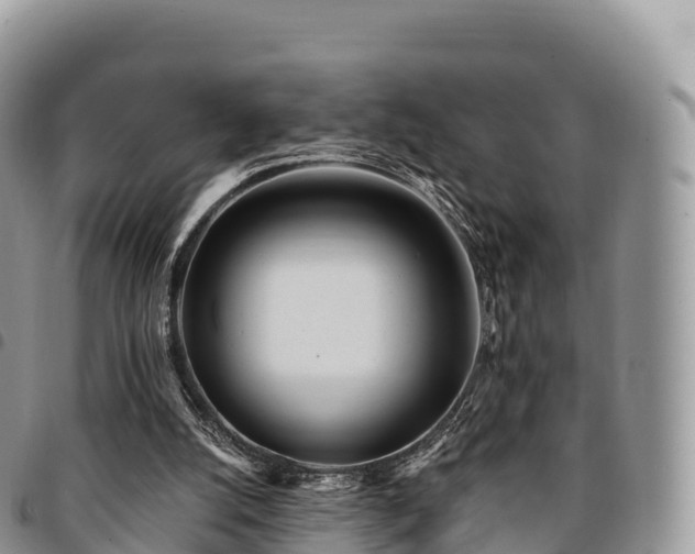 X0000094920056200711291322