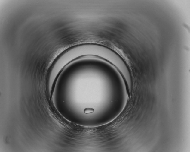 X0000094920060200711291322