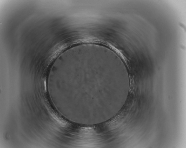 X0000094920061200711291322