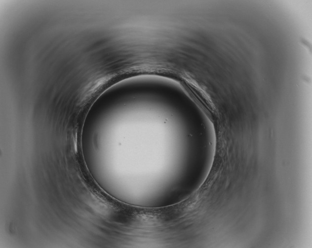 X0000094920062200711291322