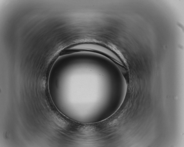 X0000094920063200711291322