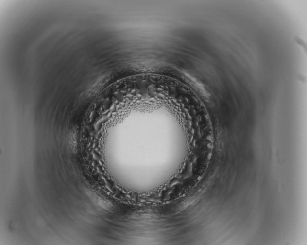 X0000094920065200711291322