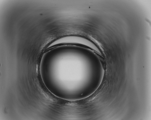 X0000094920067200711291322