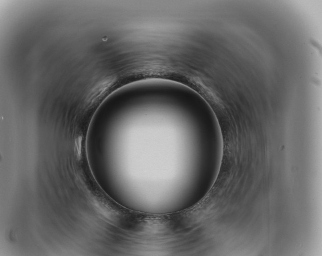 X0000094920070200711291322