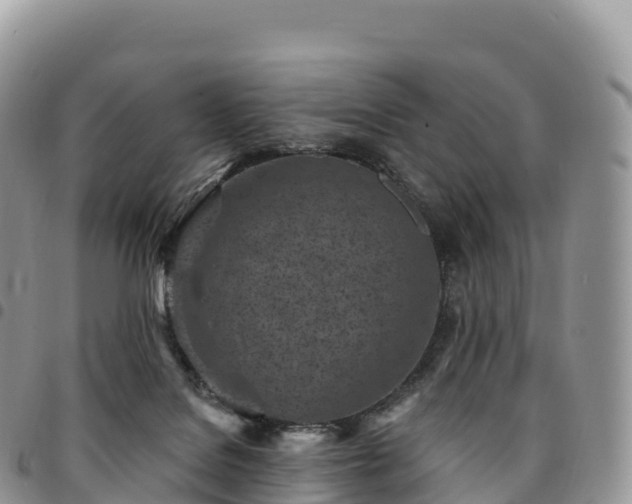 X0000094920076200711291322