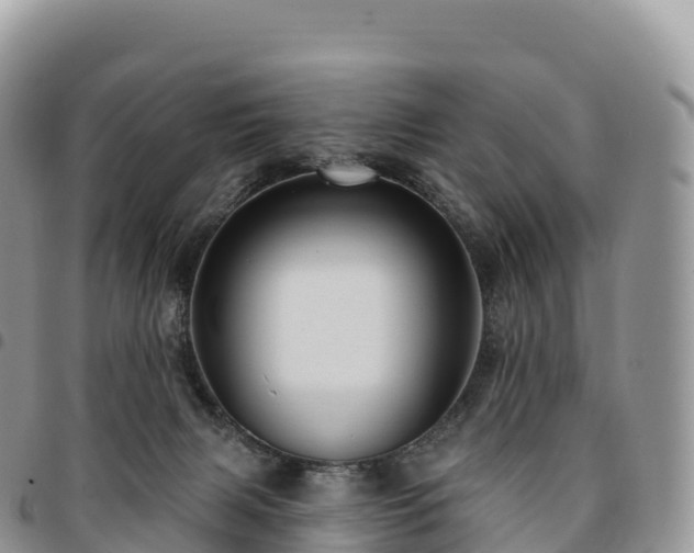 X0000094920079200711291322