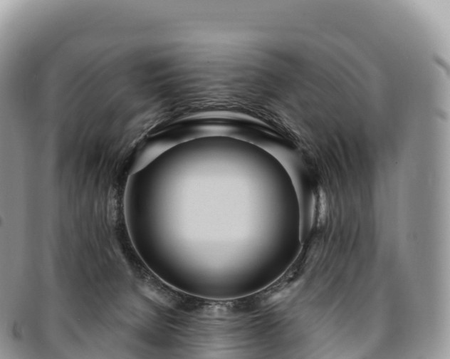 X0000094920080200711291322